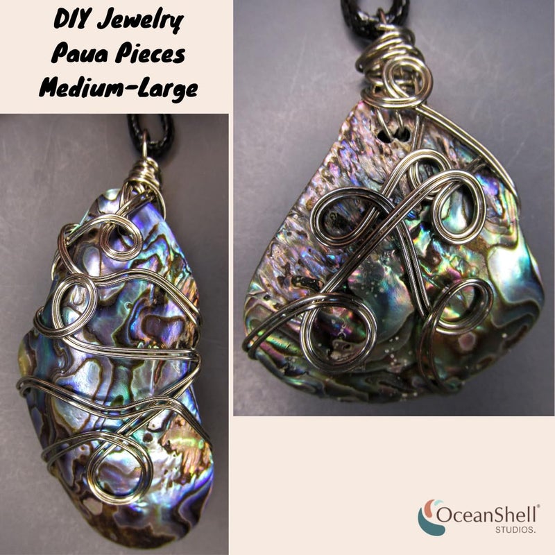 Ocean Shell Studios. Abalone (PÄua) Shell Pieces-7.05oz Pack-for Crafts, Jewelry Making, Resin Art, Inlay, Home Decorations, Fishtank Supplies, DIY Projects - Satin, Medium Medium Size 1"- 1.58" 7.05oz (200grams) - Image 2